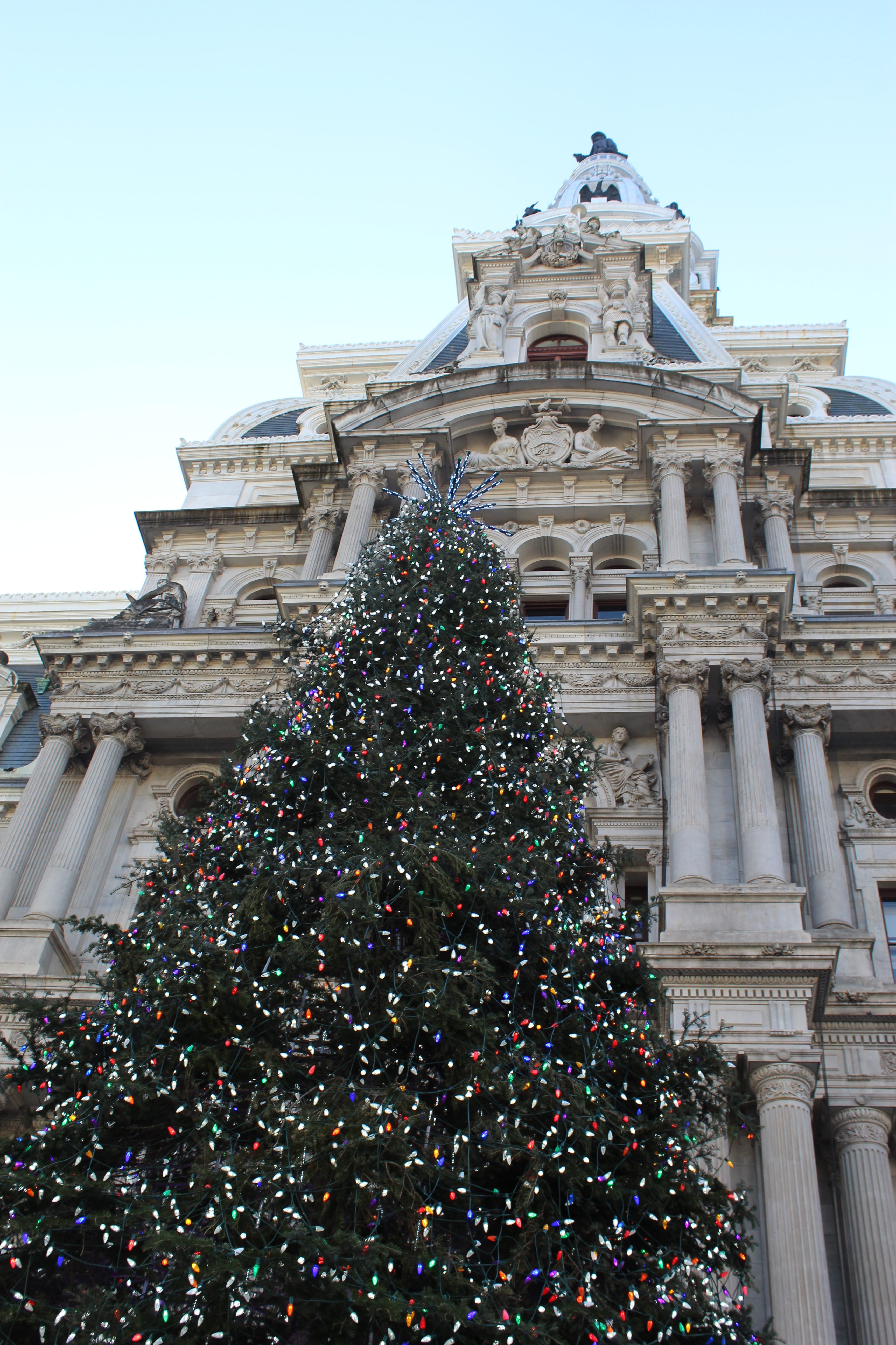 City Hall Christmas tree