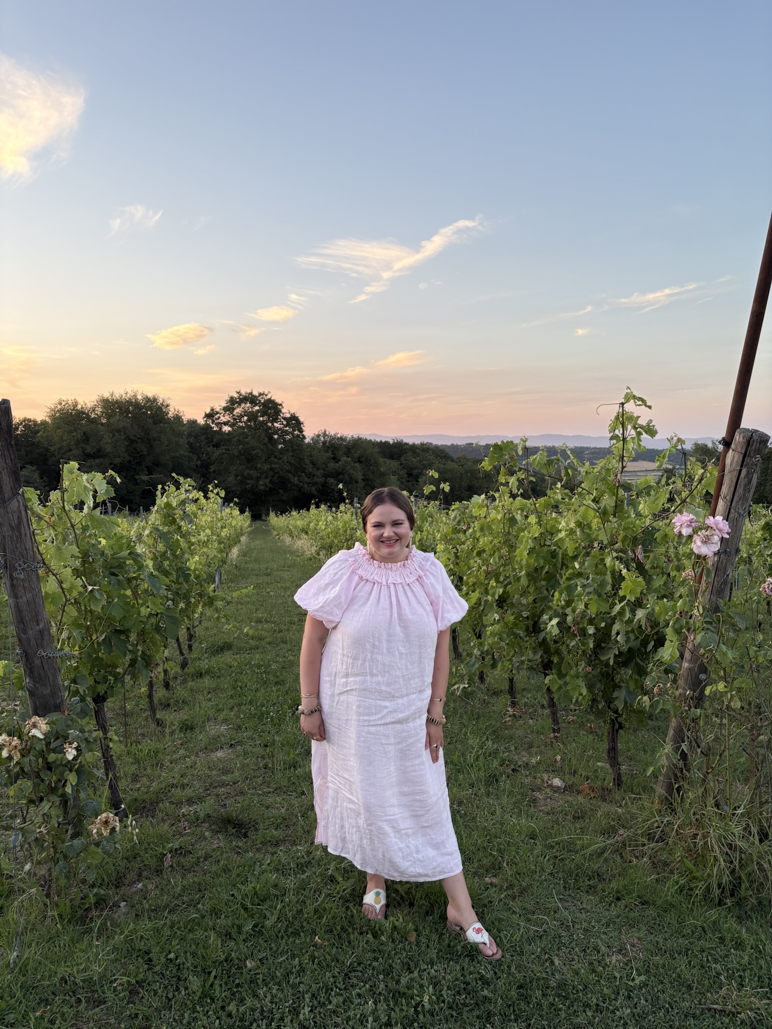 pink chickadee wearing a light pink, midi-length linen dress featuring a ruffled, high neckline and short, puffed sleeves